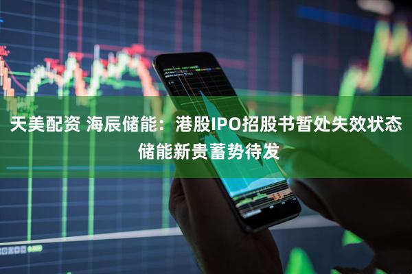 天美配资 海辰储能：港股IPO招股书暂处失效状态 储能新贵蓄势待发
