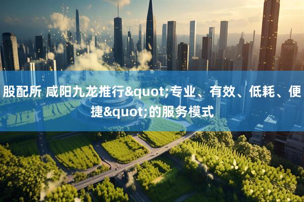 股配所 咸阳九龙推行&quot;专业、有效、低耗、便捷&quot;的服务模式