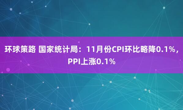 环球策路 国家统计局：11月份CPI环比略降0.1%，PPI上涨0.1%