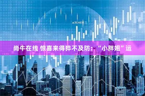 尚牛在线 惊喜来得猝不及防：“小胖妞”运