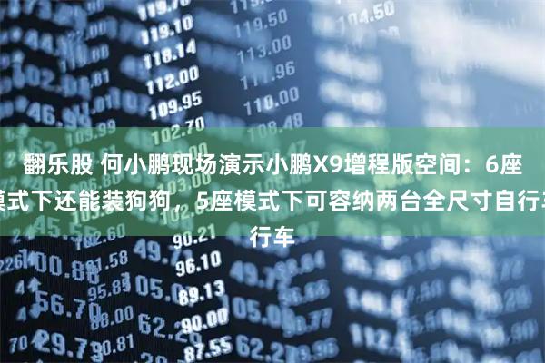 翻乐股 何小鹏现场演示小鹏X9增程版空间：6座模式下还能装狗狗，5座模式下可容纳两台全尺寸自行车